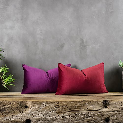 Purple Decorative Lumbar Velvet Throw Pillow Covers 16x24 inch Set of 2 with Zipper Luxury Soft Solid Rectangle Cushion Covers Case for Sofa Couch Bed Living Room