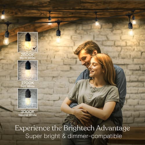 Ambience Pro, Waterproof LED Outdoor String Lights, 15 Hanging, view 5