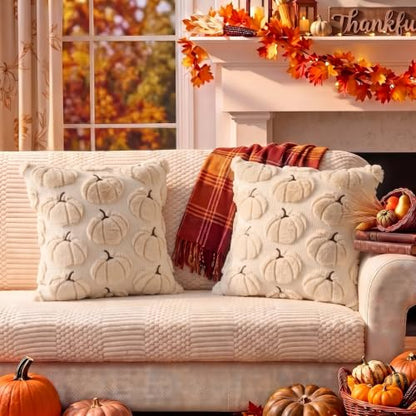 Fall Pillow Covers Pumpkin Fall Decor 18x18 Set of 2 Beige, view 8