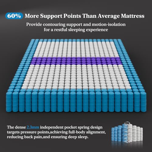 14 Inch Medium Firm Queen Mattress, Luxury Hybrid Mattress in a Box for Zoned Pressure and Back Pain Relief, Signature Collection Deep Sleep Mattresses, 10 Years Warranty, 365 Nights Trial