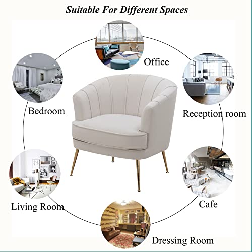 Modern Velvet Barrel Chair Accent Armchair with Golden Legs for Living Room Bedroom Home Office, Channel Tufted Back Club Chair, Beige White Cream