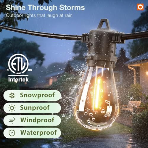 100FT LED Outdoor String Lights, view 5