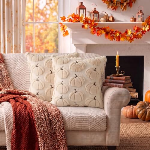 Fall Pillow Covers Pumpkin Fall Decor 18x18 Set of 2 Beige, view 9