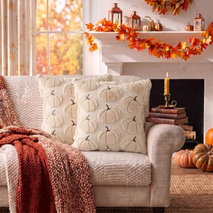 Fall Pillow Covers Pumpkin Fall Decor 18x18 Set of 2 Beige, view 9