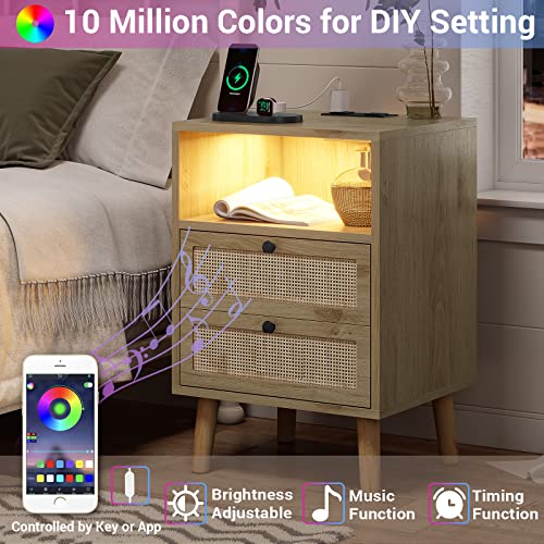 Rattan Nightstand with Charging Station, LED Night Stand for Bedroom, Wood End Table with USB Ports, Boho Bedside Table with 2 Drawers, Natural