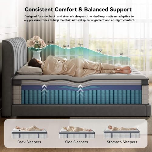 Queen 14 Inch Hybrid Mattress, Medium Firm, 7-Zone Lumbar Support in a Box, view 4