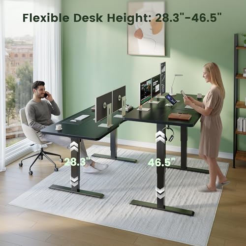 55 x 24 Standing Desk, Height Adjustable Electric Computer Desk, Sit Stand up Home Office Workstations, Black
