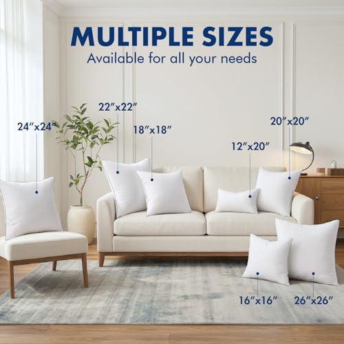 18x18 Inch Pillow Inserts Pack of 2 with 100% Cotton Cover, view 7