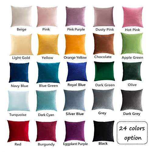 Pack of 2 Velvet Pillow Covers Square Decorative Cushion Covers for Bed Couch Sofa Bench, 20 x 20 inch (50 x 50 cm), Apple Green