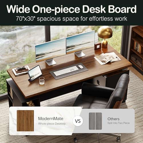 71" Electric Standing Executive Desk with Privacy Panel & Charging Station, Large One-Piece Height Adjustable Stand Up Desk with Under Storage, Home and Office, Black Walnut