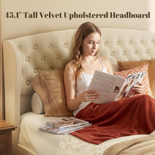 Queen Velvet Sleigh Bed Light Beige, view 5