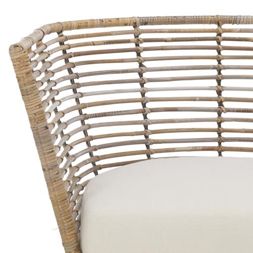 SAFAVIEH Home Collection Camira Tropical White/Natural Rattan Dining Chair with Cushion (Fully Assembled)