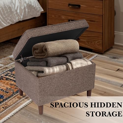24" Dinah Collection Storage Ottoman - Chocolate Brown