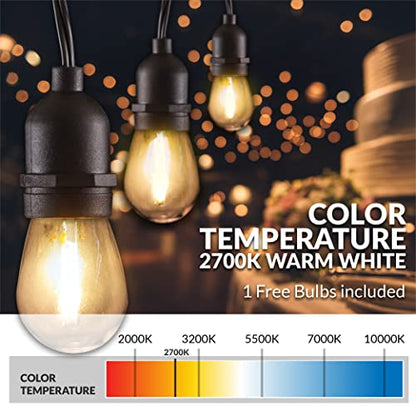 LED String Lights with Weatherproof Technology, Dimmable with Wireless Remote Control, 48ft and 16 (15+1 Free) LED Light Bulbs Included, Black (CSTRINGLEDDIM)