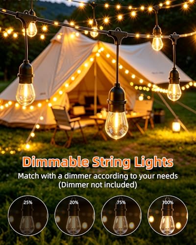 Outdoor String Lights With Lighted Tubing 24 ft, view 6