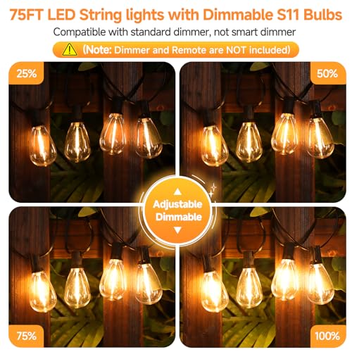 75FT LED Outdoor String Lights S11 Dimmable Patio Light, with 22+2 Waterproof Shatterproof Edison 2700K Bulbs for Outside Backyard Deck, Black