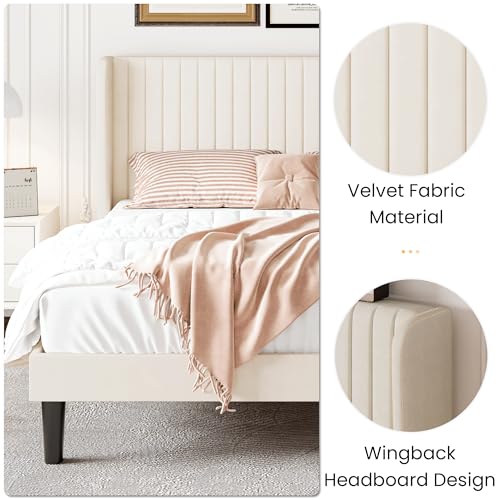 Queen Size Velvet Bed Frame with Vertical Channel Tufted Wingback Headboard, Upholstered Platform Bed with Wood Slats, No Box Spring Needed, Easy Assembly, Cream White