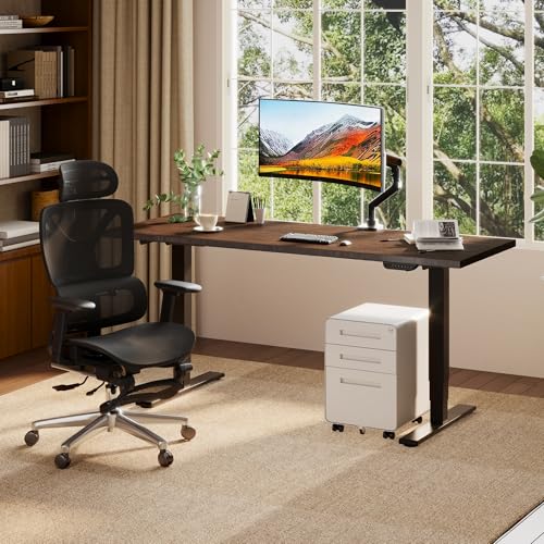 FLEXISPOT E6 MAX Bamboo 55x28 Inch Dual Motor 3-Stage Heavy Duty Standing Desk, view 4