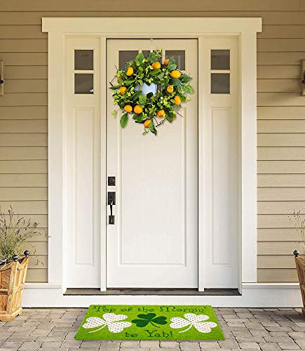 Indoor/Outdoor Natural Coir Fiber Spring/Summer Doormat, 17x29, Top of The Mornin' to Yah!