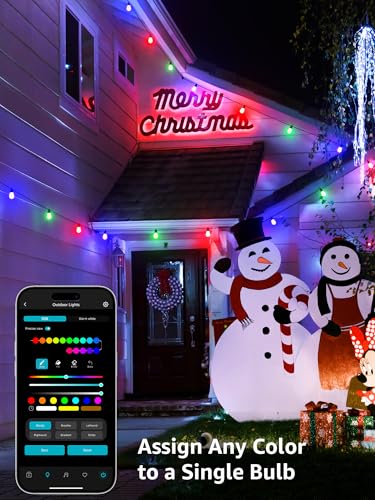 ZB1 AI Smart Outdoor String Lights, 54(42+12) ft RGB+IC+Warm White Outside Light with 15 Plastic LED Bulbs, Music Sync, Alexa Google Enable, 2.4 GHz WiFi+Bluetooth (APP Control, No Remote)