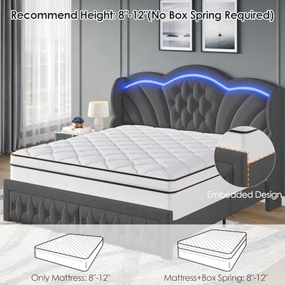 Queen Bed Frame with LED Lights and 2 Storage Drawers, Velvet Upholstered Platform with 47" Tall Arc-Shaped Wingback Headboard and Button Tufted Design, No Box Spring Needed, Noise-Free, Gray