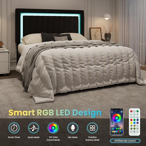 Queen Size Velvet Bed Frame with LED Light, Black, view 5