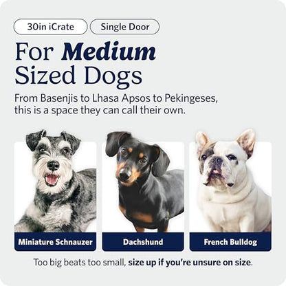 Midwest 30-Inch Single Door iCrate, for Medium Breeds, 21-40 lbs, view 3