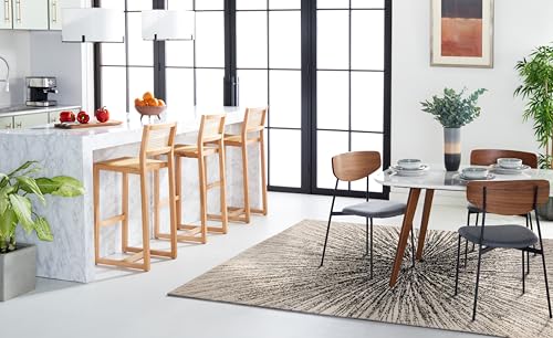SAFAVIEH Evoke Collection Area Rug - 9' x 12', Black & Ivory, Abstract Burst Design, Non-Shedding & Easy Care, Ideal for High Traffic Areas in Living Room, Bedroom (EVK228K)
