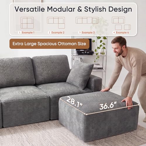 Sectional Couches for Living Room, Modern Boneless Couch with Deep Seat, Upholstered Cloud Sofa, No Assembly Required (Grey, L Shaped Sofa)