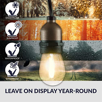 LED String Lights with Weatherproof Technology, Dimmable with Wireless Remote Control, 48ft and 16 (15+1 Free) LED Light Bulbs Included, Black (CSTRINGLEDDIM)