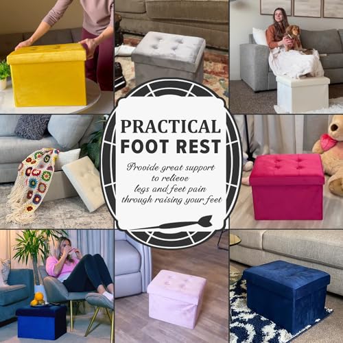 Storage Ottoman Folding Foot Stool Velvet Foot Rest with Padded Modern Ottoman with Storage for Living Room Puppy Step Stool 17x13x13in(Black)