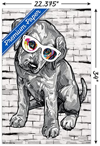 PD Moreno - Dog Glasses Wall Poster, 22.375" x 34", Premium Poster & Clip Bundle