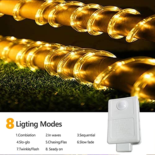 100ft LED Rope Lights Outdoor, view 4
