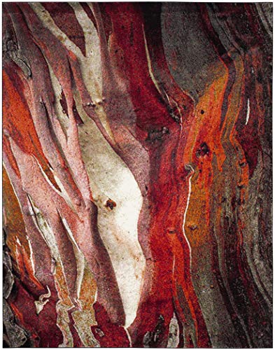 SAFAVIEH Area Rug 8x10 - Glacier Collection - Large - Red & Multi, Modern Abstract Design, Non-Shedding & Easy Cleaning, Ideal for Living Room, Bedroom, Office, Dining Space (GLA126A)