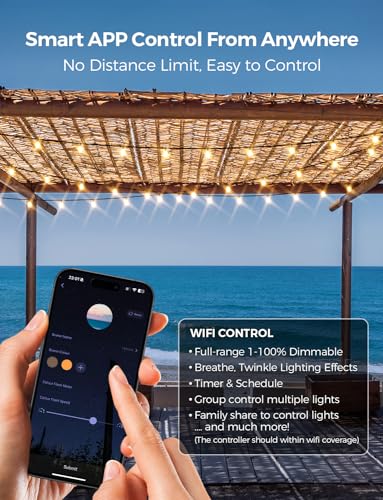 XMCOSY+ Outdoor String Lights, view 2