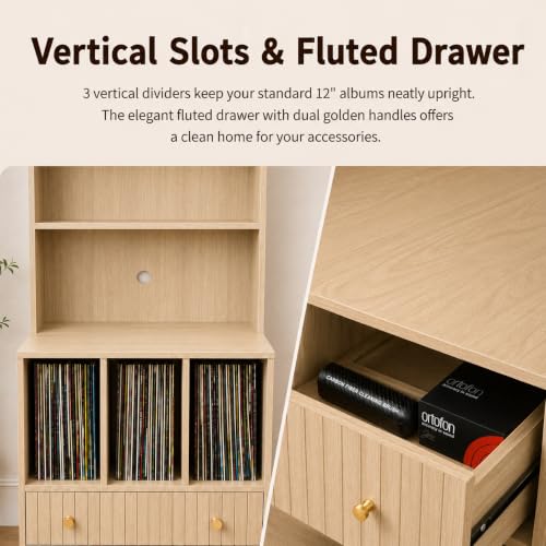 HOJEVE MCM Record Player Bookshelf, view 6