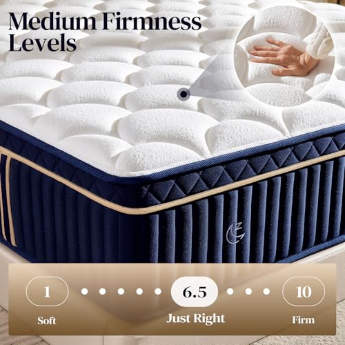 Queen Size Mattress,14 Inch Queen Mattress Hybrid in a Box, Medium Firm Memory Foam with Individual Pocket Springs, Upgrade Zoned Support, Motion Isolation&Pressure Relief, CertiPUR-US