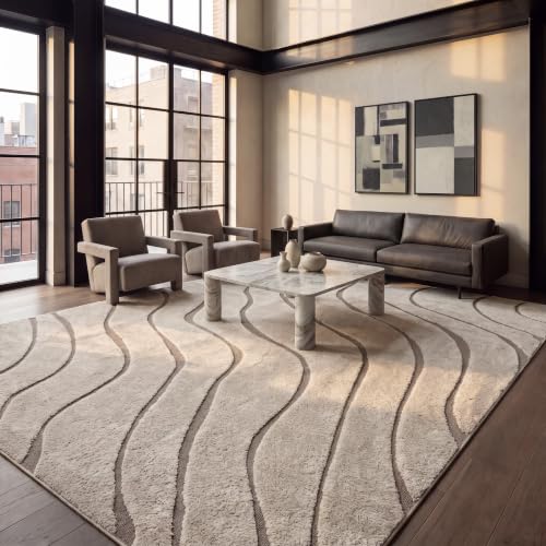 SAFAVIEH Florida Shag Rug 9'x12', Soft Plush Cream & Beige SG472-1113, view 3
