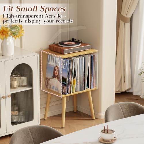 Vinyl Record Storage with Acrylic Side Panels, view 6