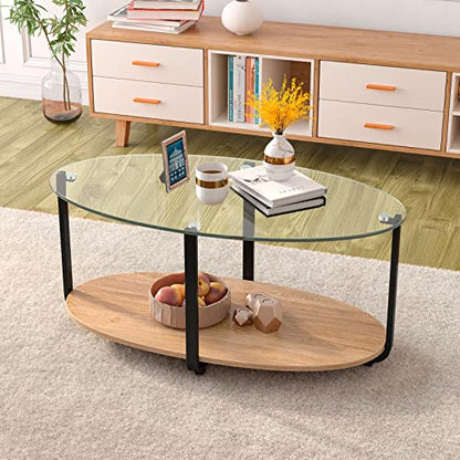 Glass Coffee Table, 2 Tier Oval Tea Table with Tempered Glass Tabletop and Wooden Shelf, Modern Glass Sofa Center Table for Home Office, Metal Legs, Home Decor Accent Cocktail Table
