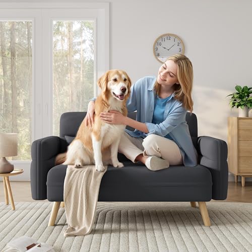 Yaheetech 46" Small Modern Fabric Sofa Loveseat Mid Century 2 Seater Sofa Couch with Lumbar Pillows, Solid Wood Legs for Living Room, Small Space, Dorm, Office, Bedroom, Dark Gray