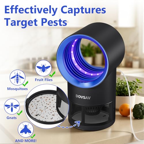 Fruit Fly Traps for Indoors, Blue Gnat Trap Indoor with Suction & Timer, view 5
