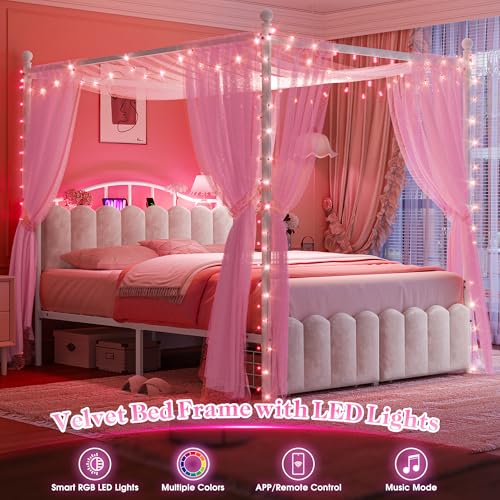 Queen Size Canopy Bed Frame with 2 Drawers and LED & Charging,White, view 8