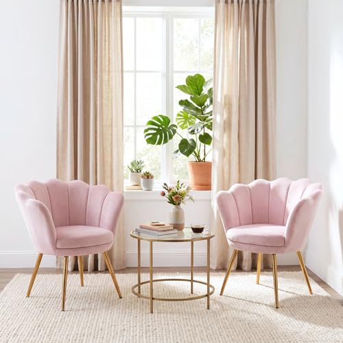 Light Pink Makeup Vanity Chair with Back, Modern Velvet Upholstered Small Accent Chair with Gold Metal Legs, Cute Shell Shaped Vanity Stool Desk Chair for Living Room Bedroom Dressing Room