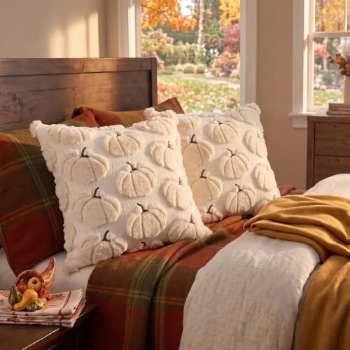 Fall Pillow Covers Pumpkin Fall Decor 18x18 Set of 2 Beige, view 7