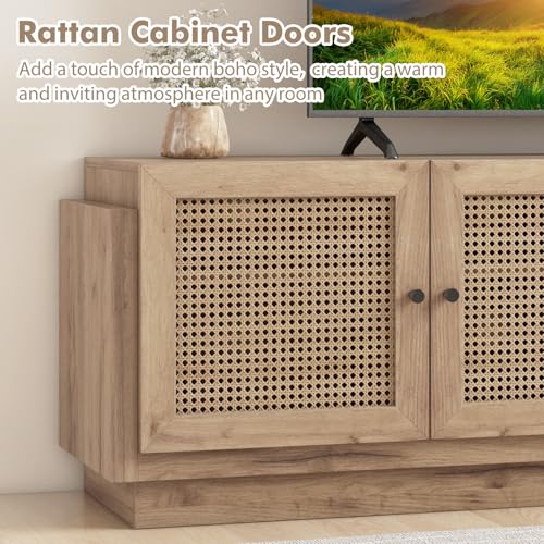 Farmhouse TV Stand for TVs Up to 75-Inch, view 8