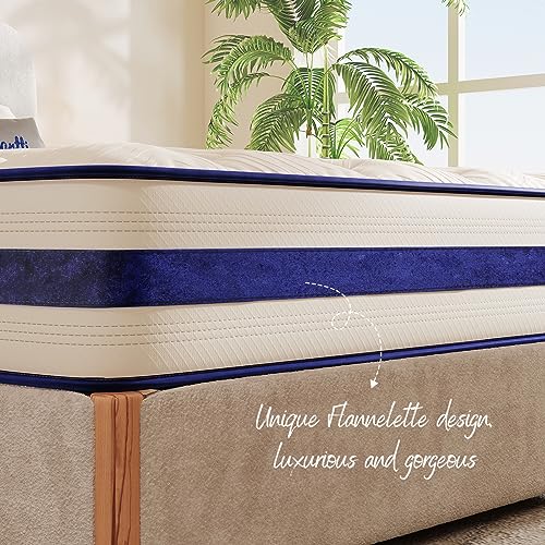 Queen Mattress,12 Inch Hybrid Innerspring Mattress in a Box with Memory Foam,Back Support & Pressure Relief,Medium Firm Feel for Adults (Queen Size)