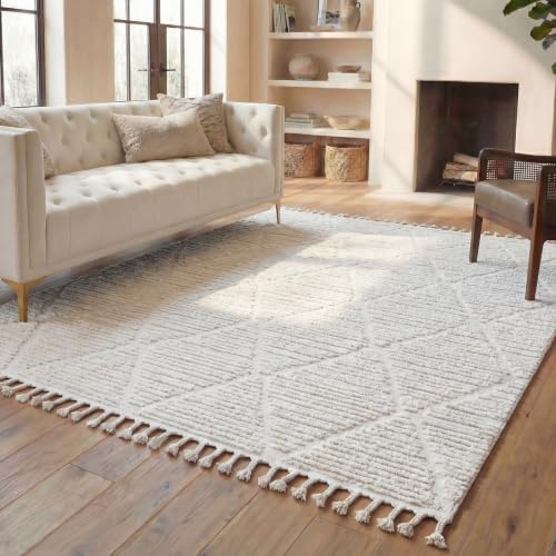 SAFAVIEH Area Rug 8x10 - Marrakesh Collection - Large - Beige, Moroccan Trellis Design with Tassel Detail, Non-Shedding & Easy to Clean, Ideal for Living Room, Bedroom, Dining Space (MRK517C)