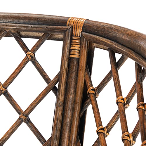 SAFAVIEH Furniture - Carlotta Rattan Arm Chair - Brown & Black - Solid Wood - Coastal Open-Arm Design - Ideal for Living Room, Sunroom, Bedroom (SEA4013C)