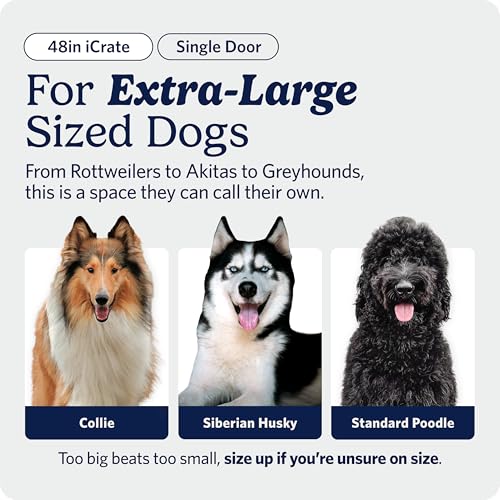 Midwest 48-Inch Single Door iCrate, for Extra-Large Breeds, 90-110 lbs, view 3